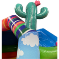 inflated cactus