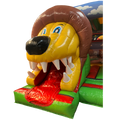 Close up lion SLIDE